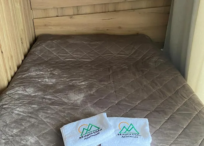 Magia Vido Apartment-president Kop A109 * Kopaonik