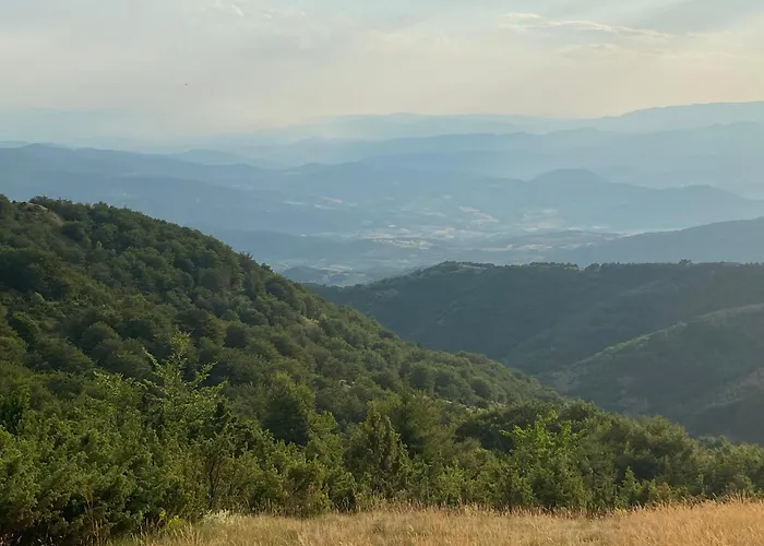 Magia Vido Apartment-president Kop A109 Kopaonik