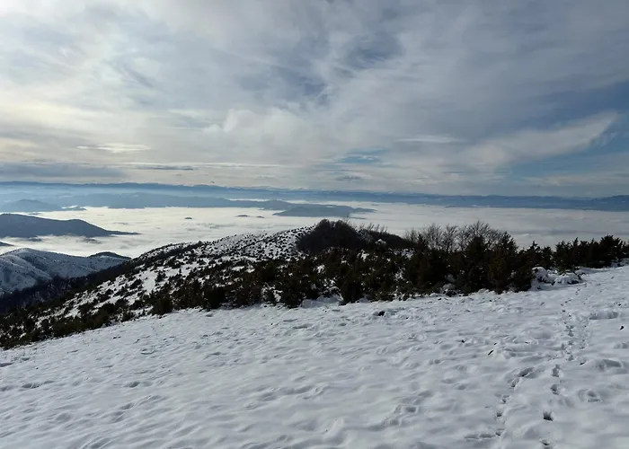 Magia Vido Apartment-president Kop A109 Kopaonik