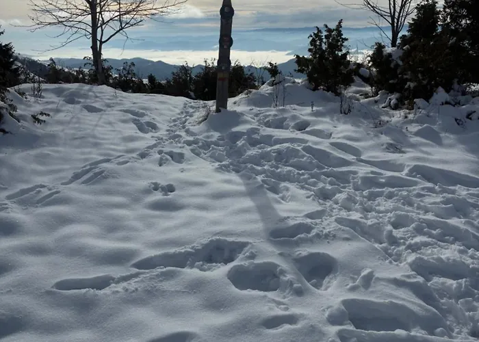 Lägenhet Magia Vido Apartment-president Kop A109 Kopaonik