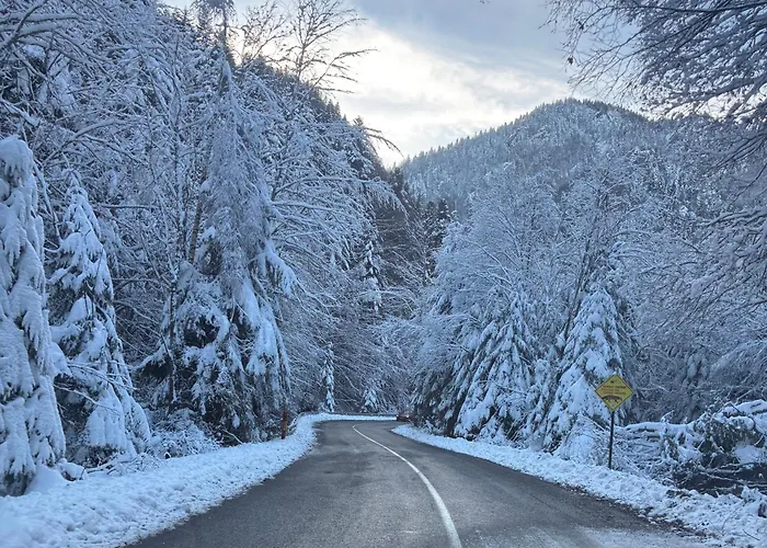 Magia Vido Apartment-president Kop A109